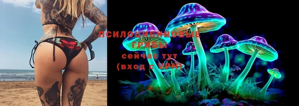 мескалин Елабуга