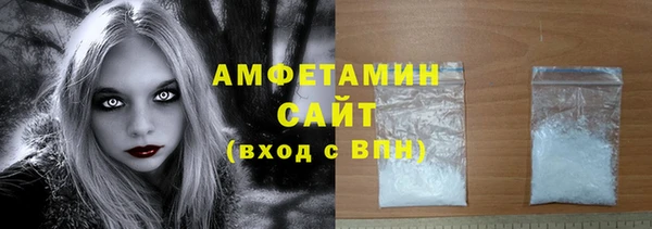 хмурый Ельня