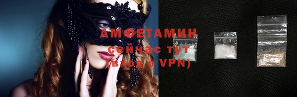 хмурый Ельня