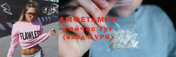 хмурый Ельня