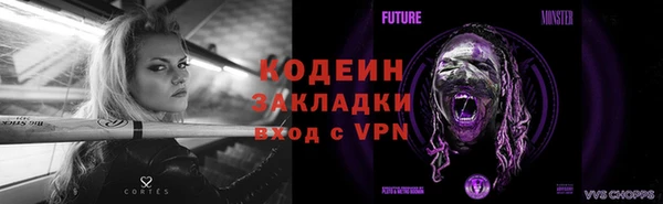 хмурый Ельня