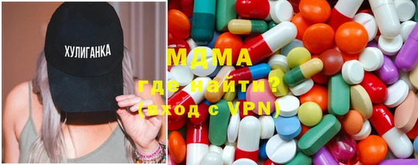 хмурый Ельня